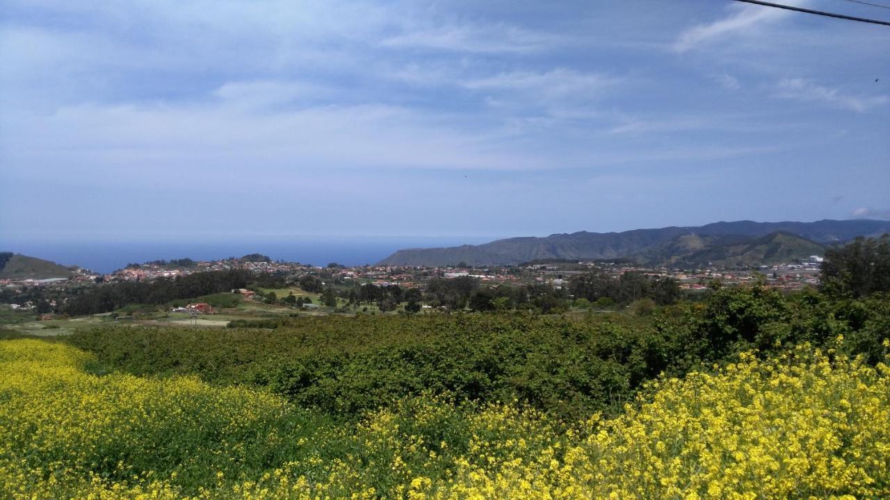Apartamento Privado En Una Zona Tranquila Y Proxima Al Aeropuerto Tf Norte Y A La Ciudad De San Cristobal De La Laguna . Værelse billede